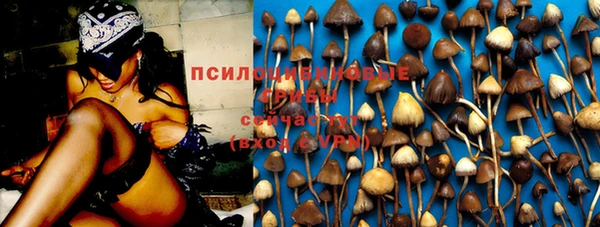 прущая мука Арсеньев