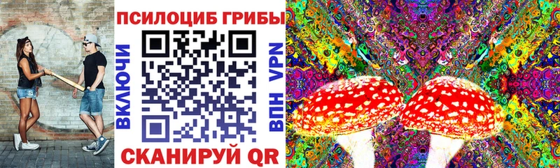 что такое наркотик  Белореченск  Галлюциногенные грибы Psilocybine cubensis 